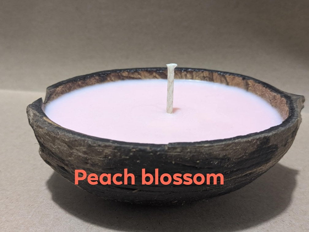 Coconut Shell Soy Candles