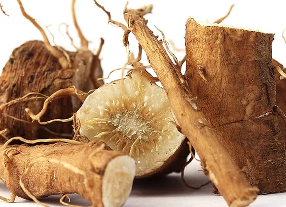 Chicory Root