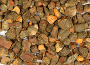 Blood Root