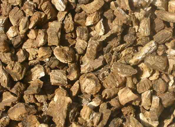 Burdock Root
