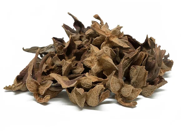 Flor De Manita
