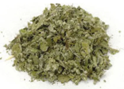 Coltsfoot