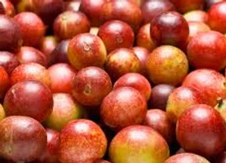 Camu Camu Powder