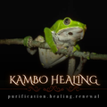 Kambo Healing