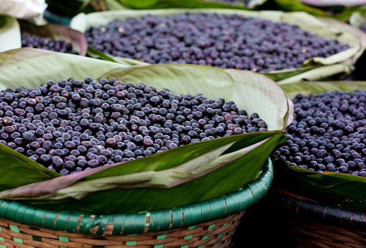 ACAI BERRY POWDER