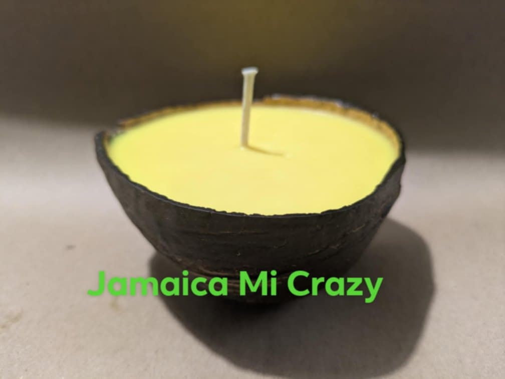 Coconut Shell Soy Candles