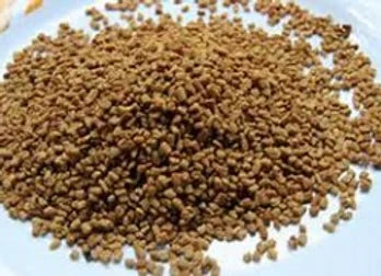 Fenugreek