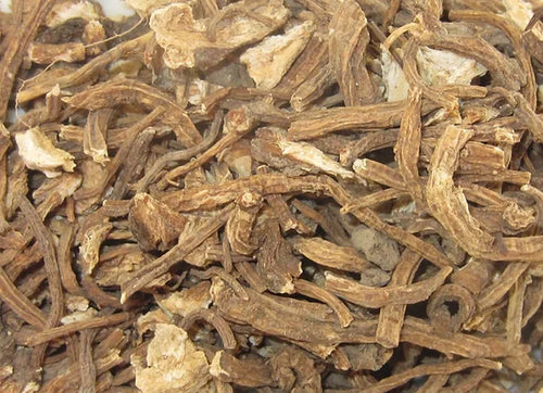 Angelica Root