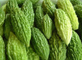 Bitter Melon